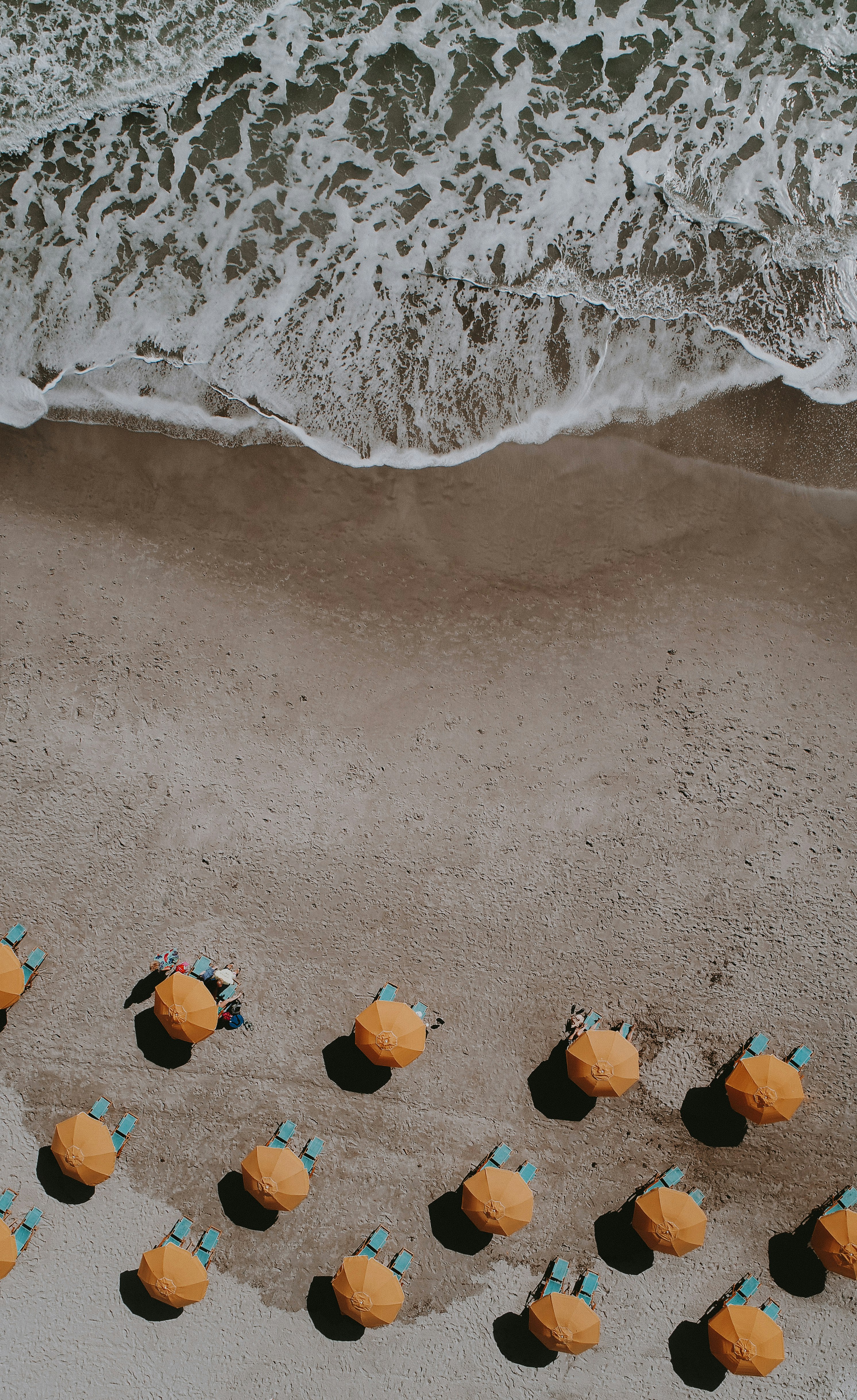 yellow umbrellas on shore